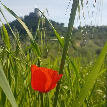 La Casina Di Nonna Giulia