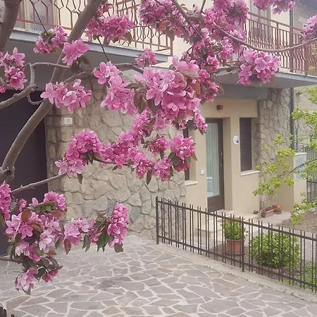 La Casina Di Nonna Giulia Apartment *